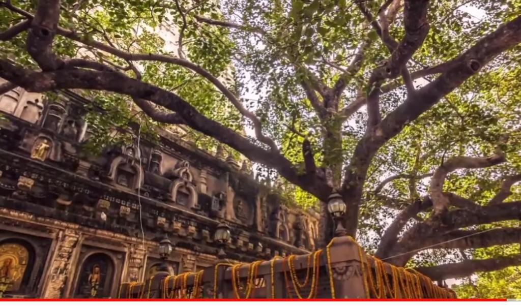 5Terminals-Tours-and-Travel